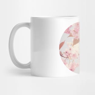 Cherry Blossoms Mug